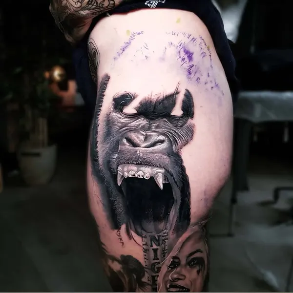 Tiger, Animal