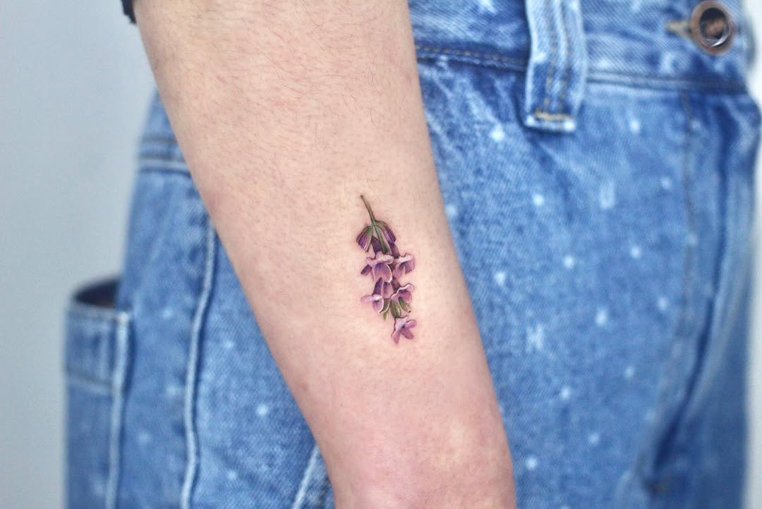 Flower, Nature