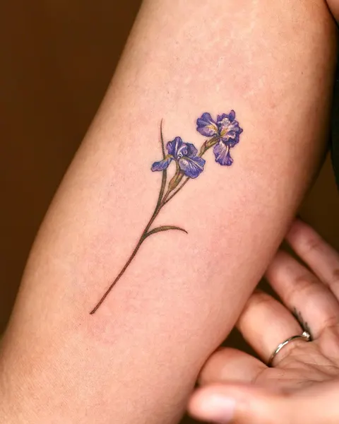 Flower, 난초, 아이리스, 라벤더
