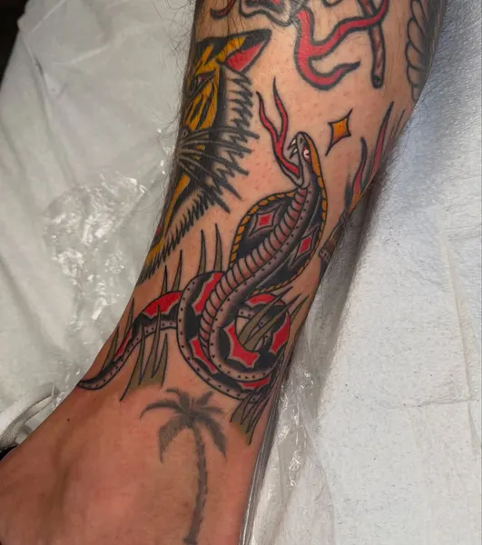 Dragon