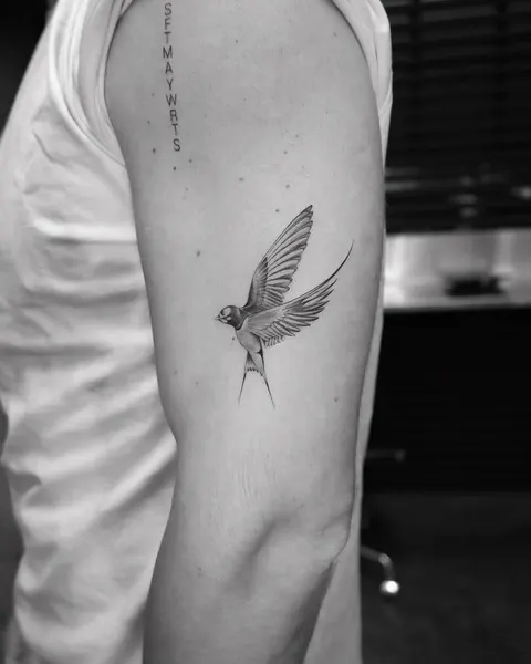 mnsantanatattoo