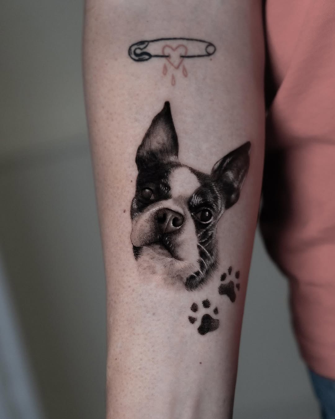 Animal
