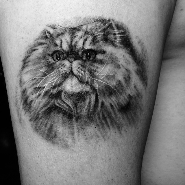 Animal