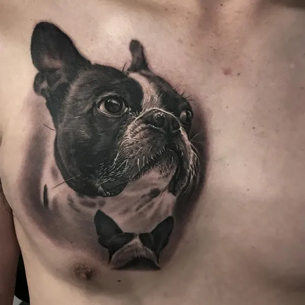 Animal
