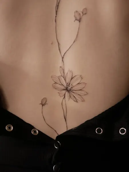 Flower, Nature, Rose