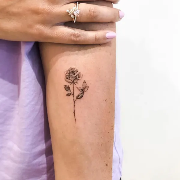 Flower, Rose