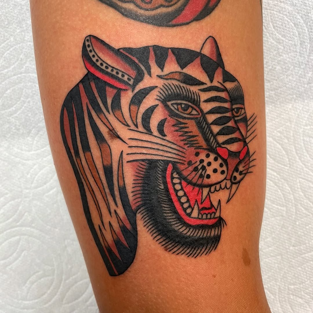 Tiger, Animal