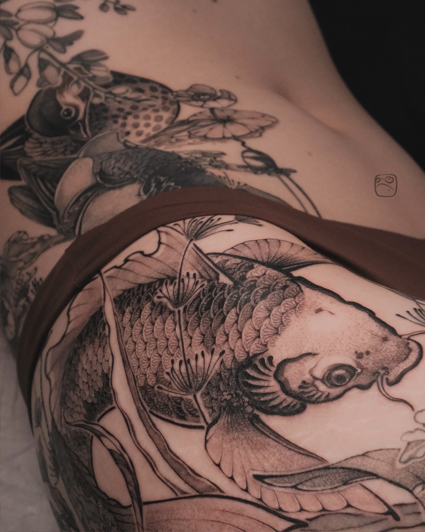 sasha.zhaba
