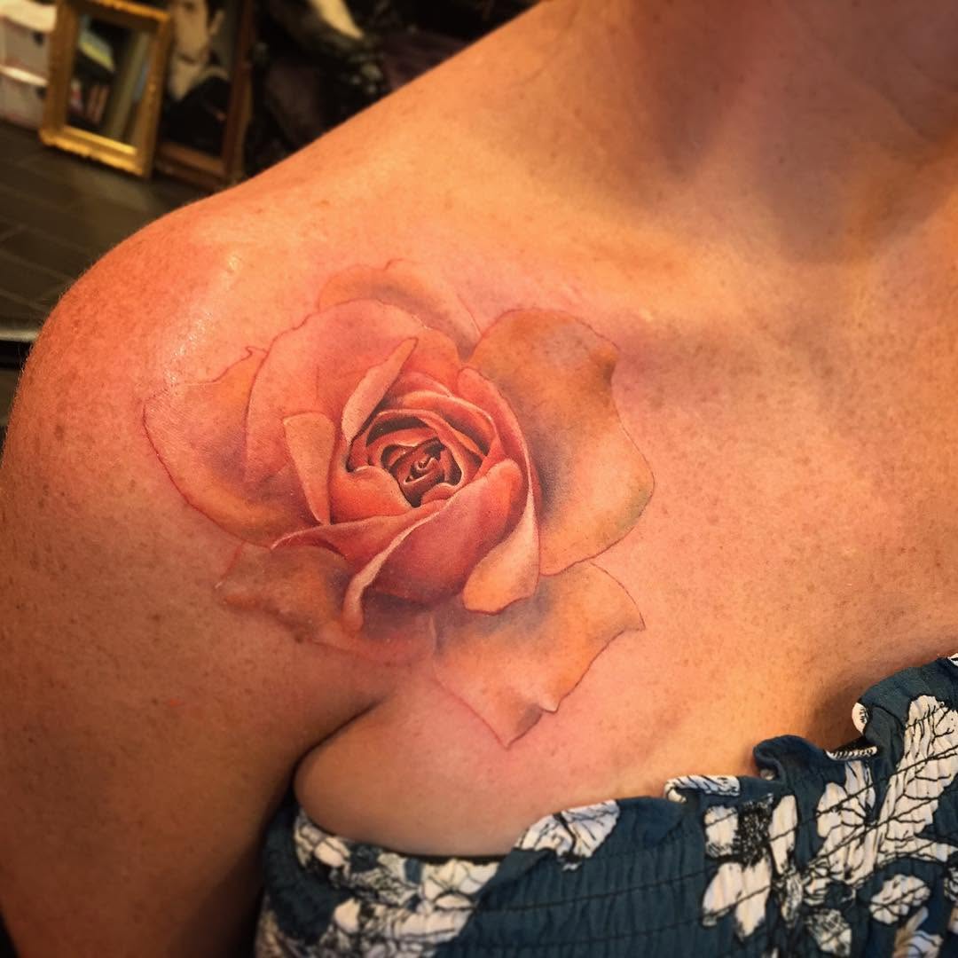 Flower, Rose, Nature