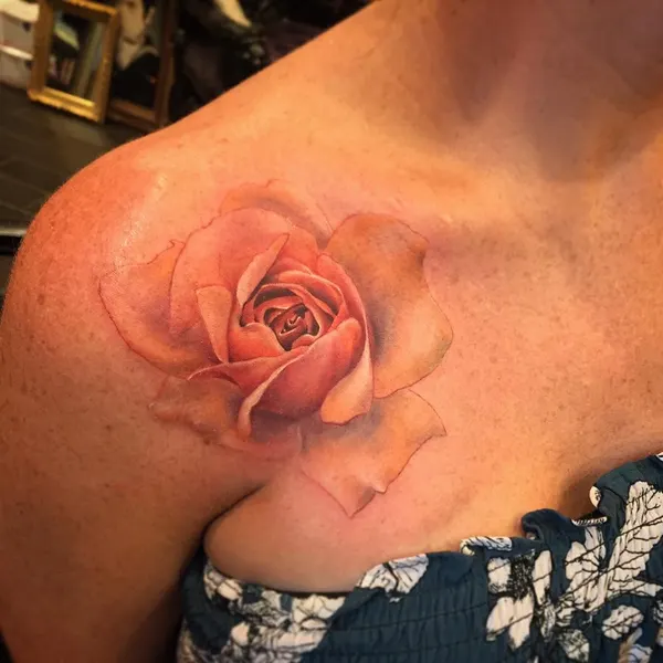 Flower, Rose, Nature