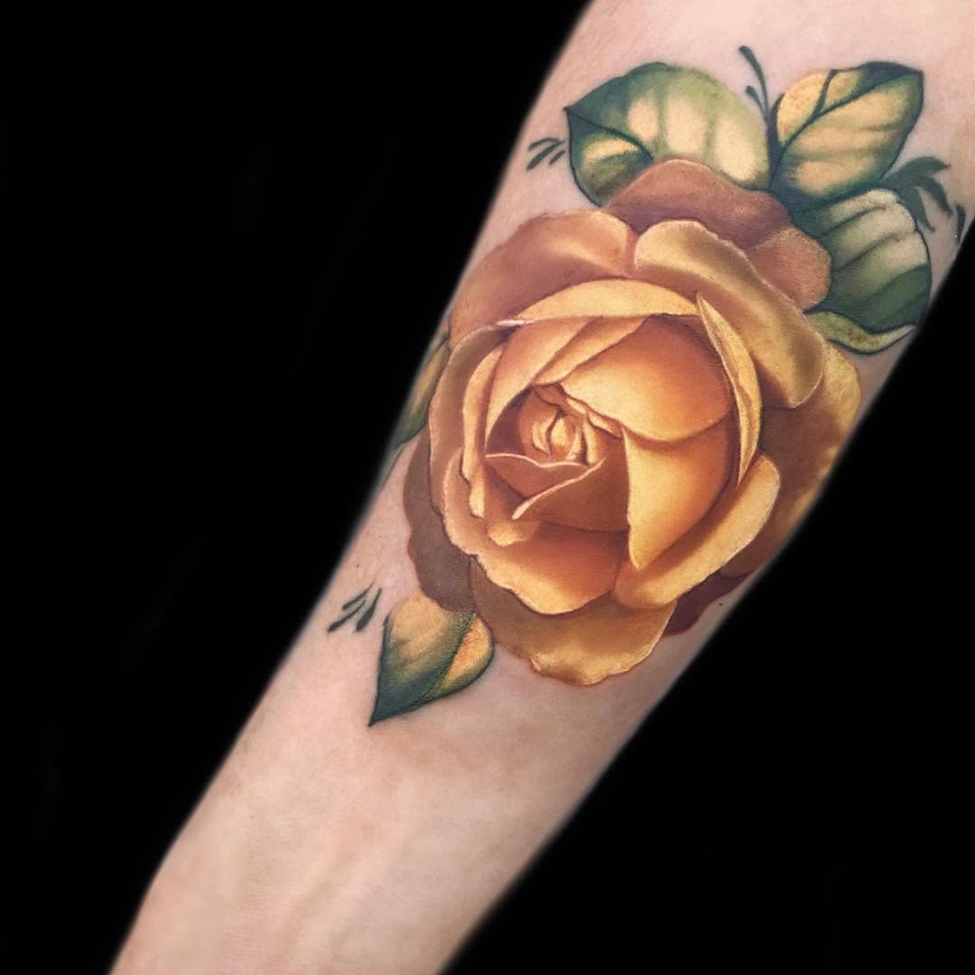 Rose, Flower