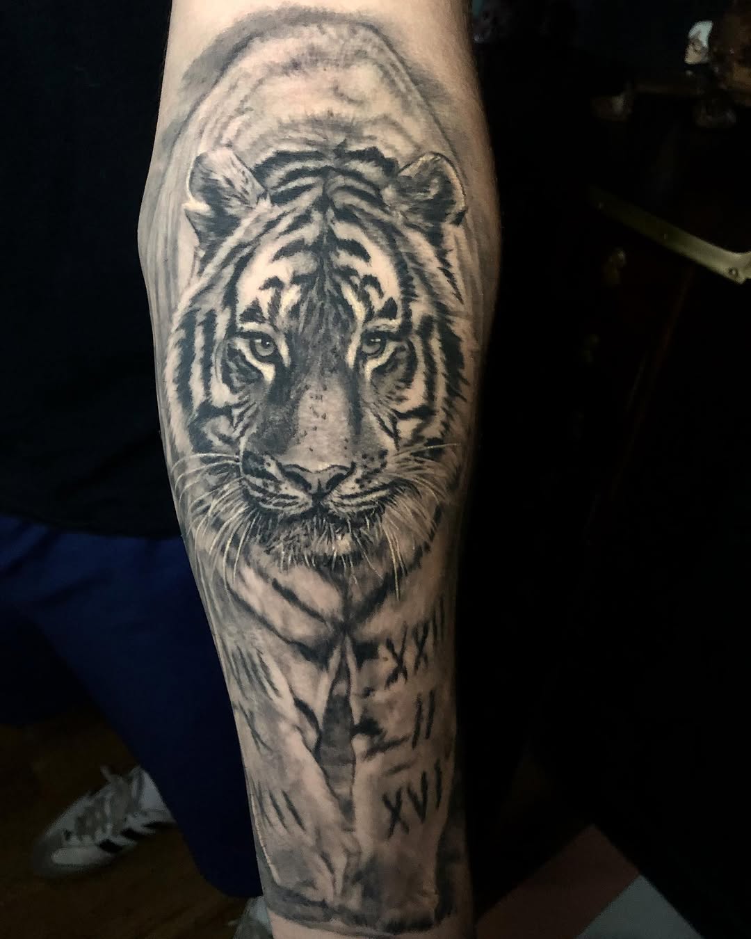 Tiger