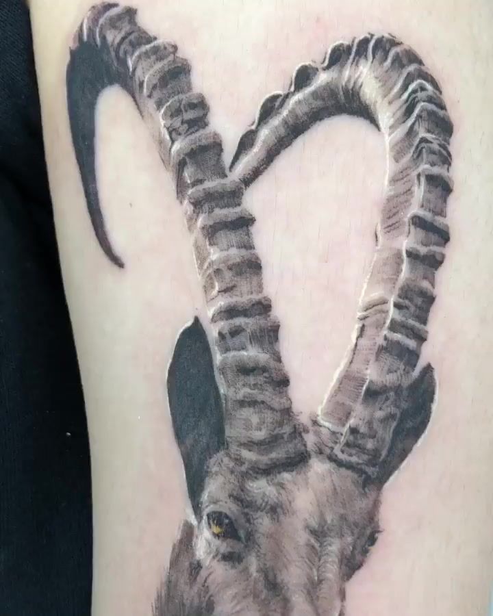 Tattoo_nyang