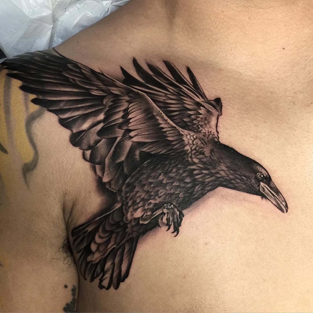 Animal