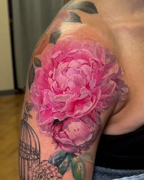 Flower, Rose, Nature