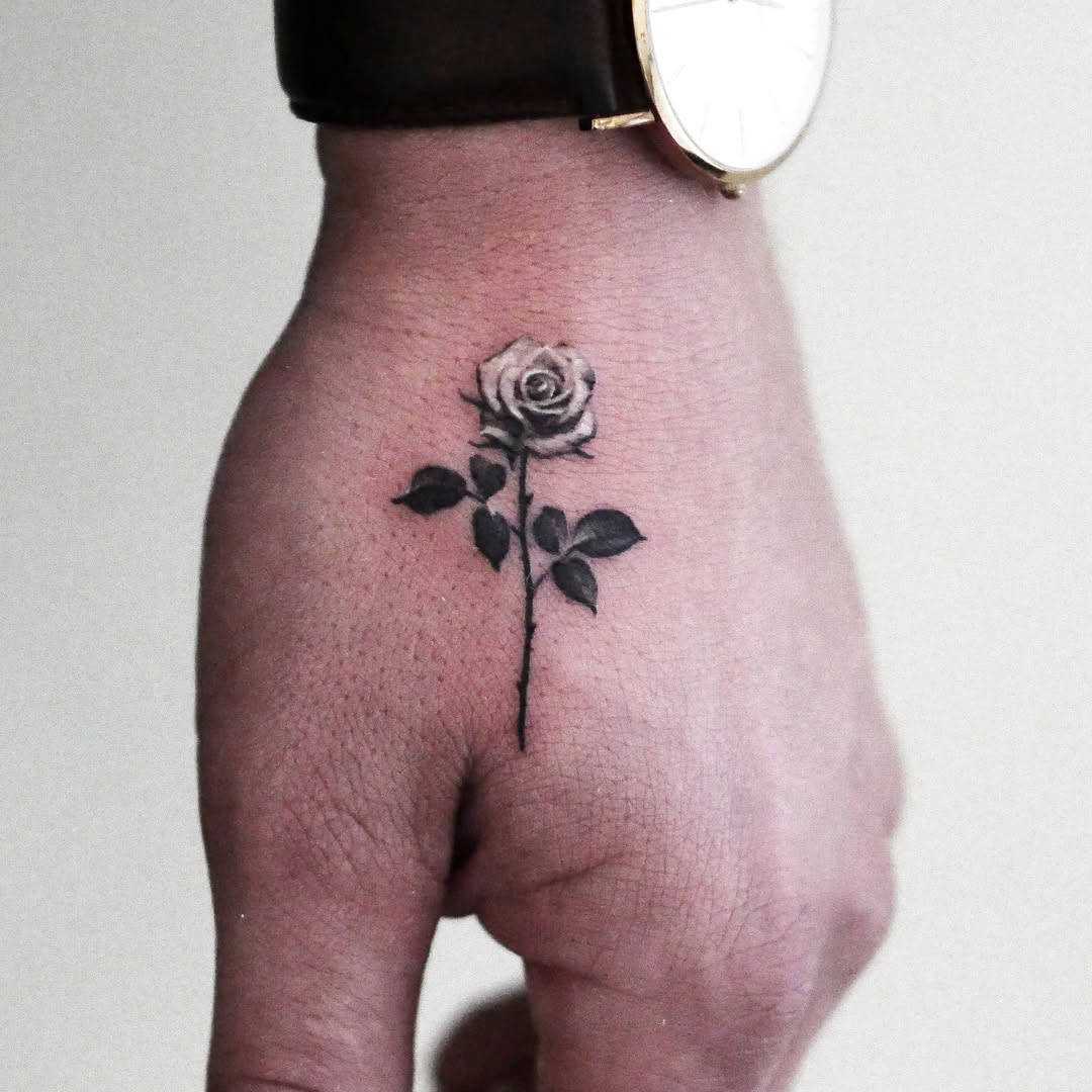 Flower, Rose, Lettering