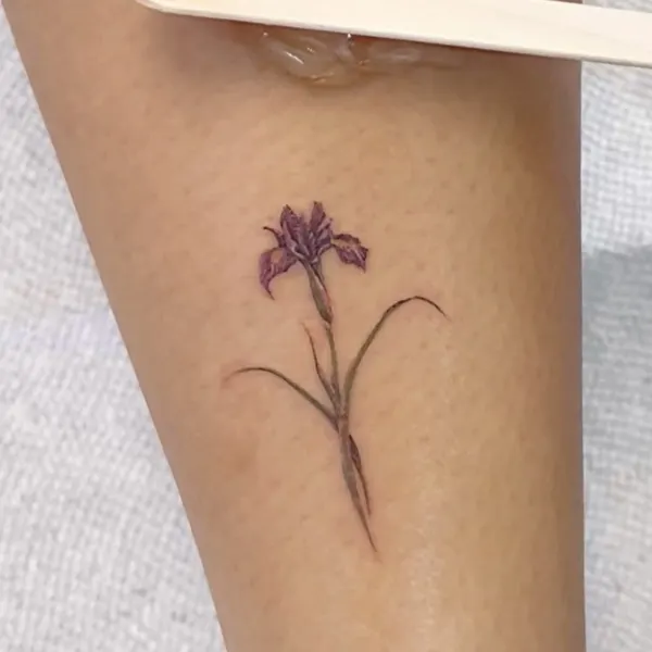 Flower, 뿌리, 풀, 난초, 라벤더, 민들레, 수선화, 야생화, 아이리스, 카네이션, 백합, 초소형 타투, 작은 타투