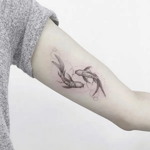 equilattera