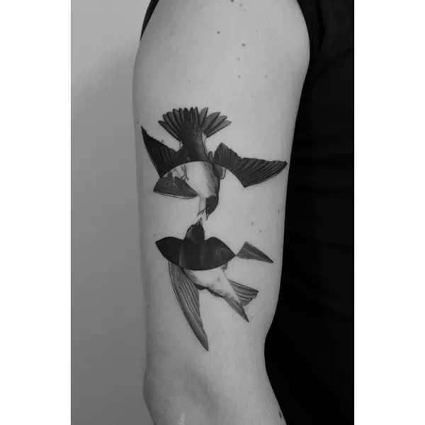 학, 제비, 참새, 비둘기