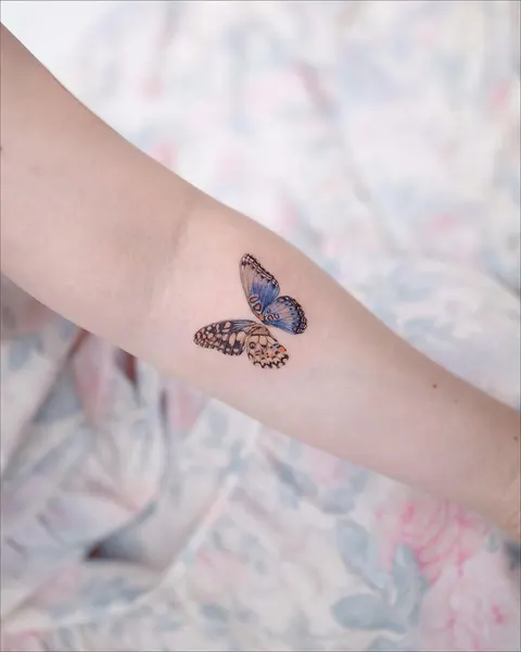 Animal, Nature, 나비