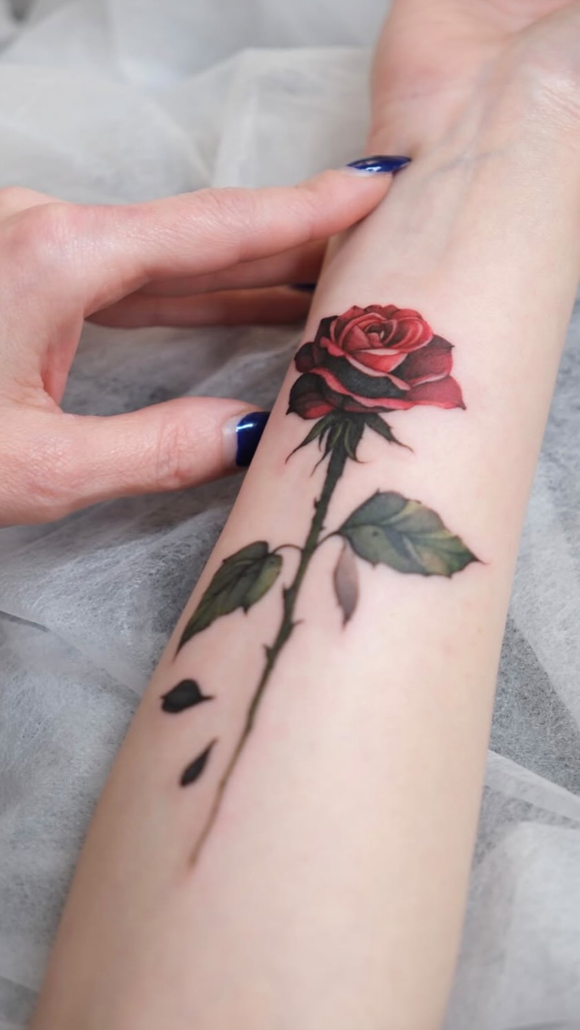 Flower, Rose