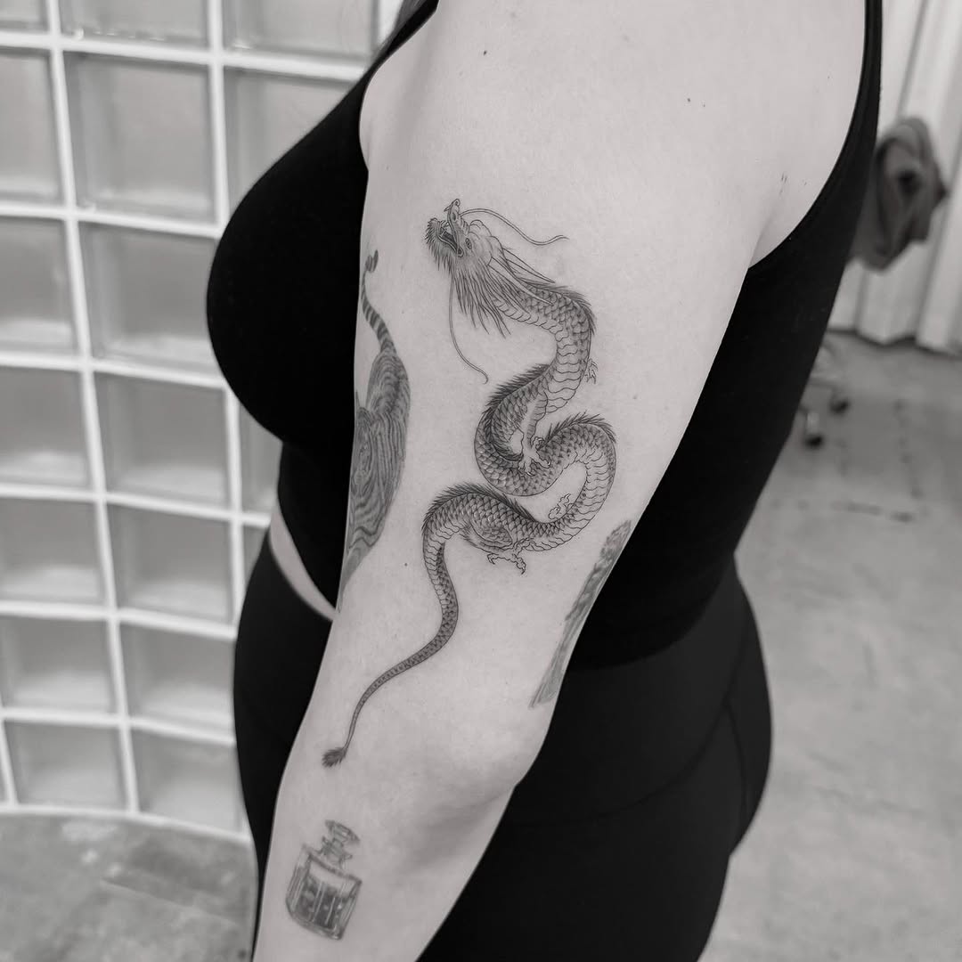 Dragon
