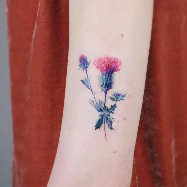 Flower, Rose, 매화, 야생화, 양귀비