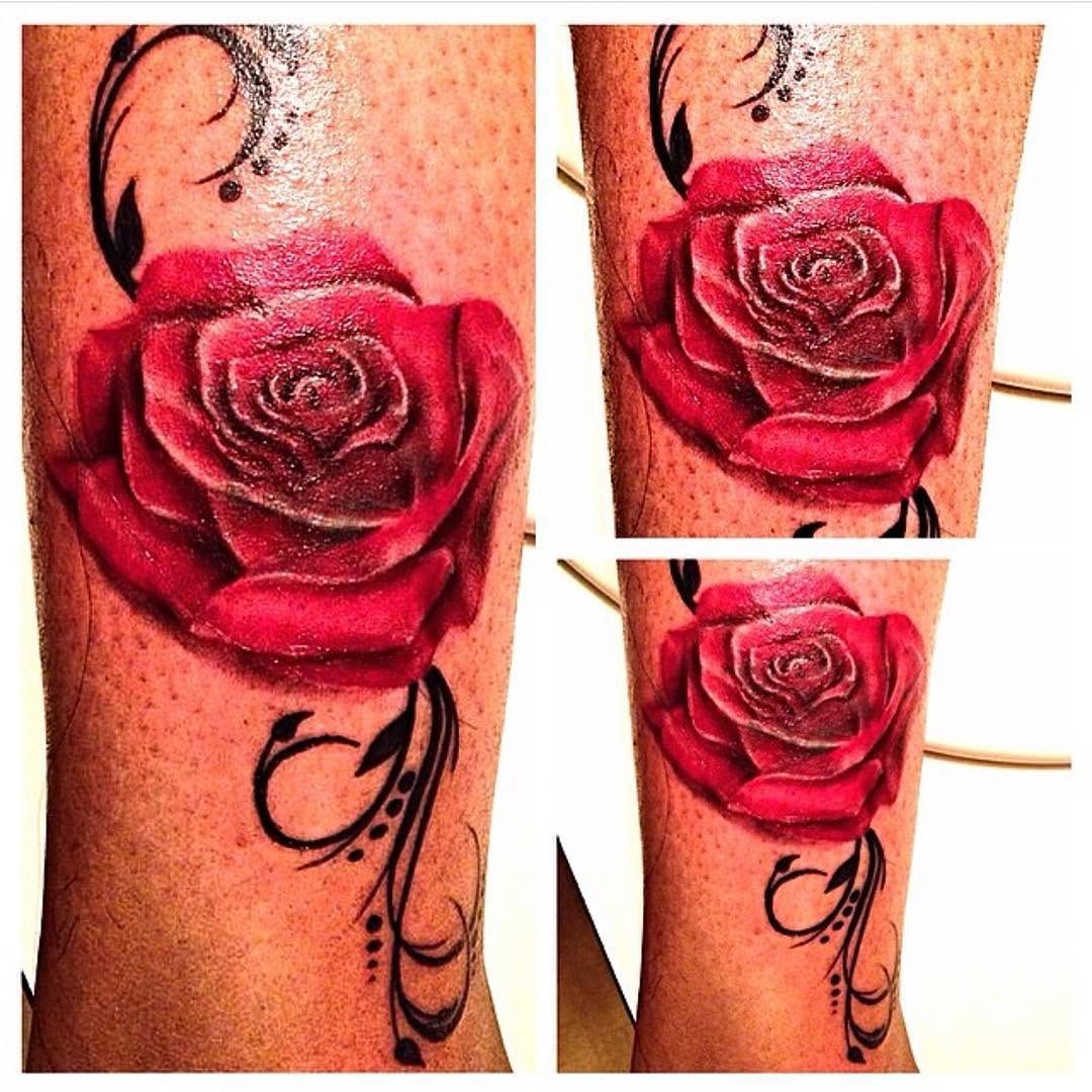 Flower, Rose