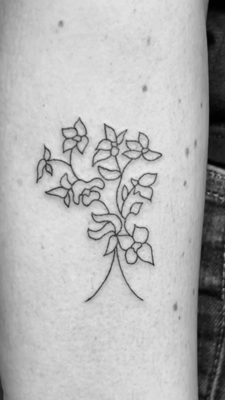 Flower, Rose