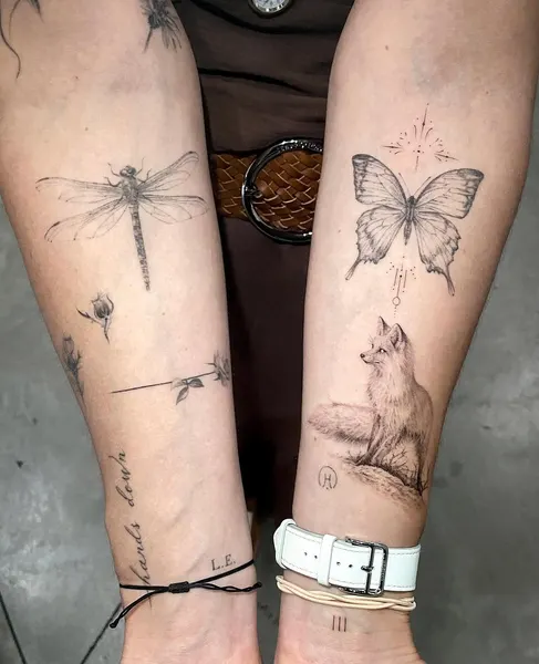Animal, Nature