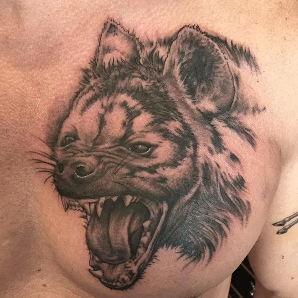 Tiger, Animal