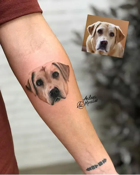 Animal