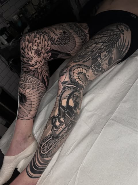 Dragon, Animal