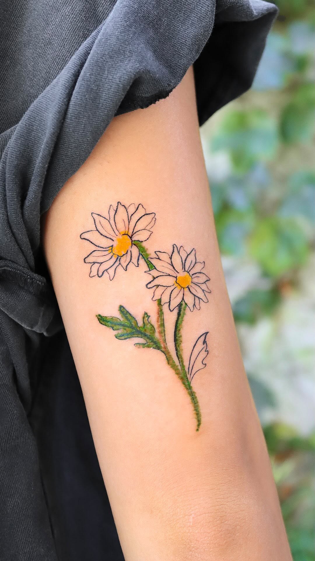 Flower, 해바라기, 데이지