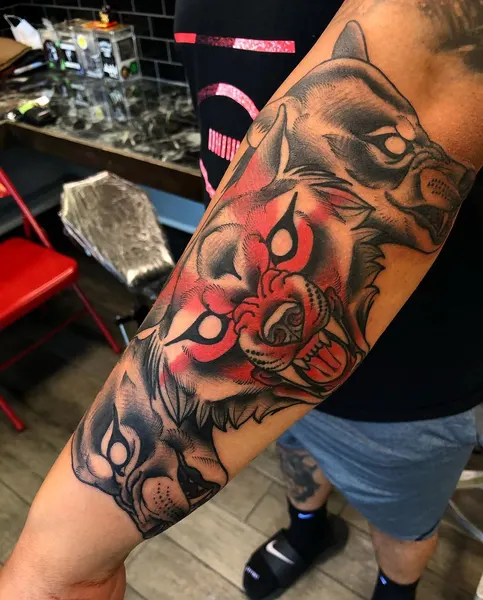 Tiger, Animal