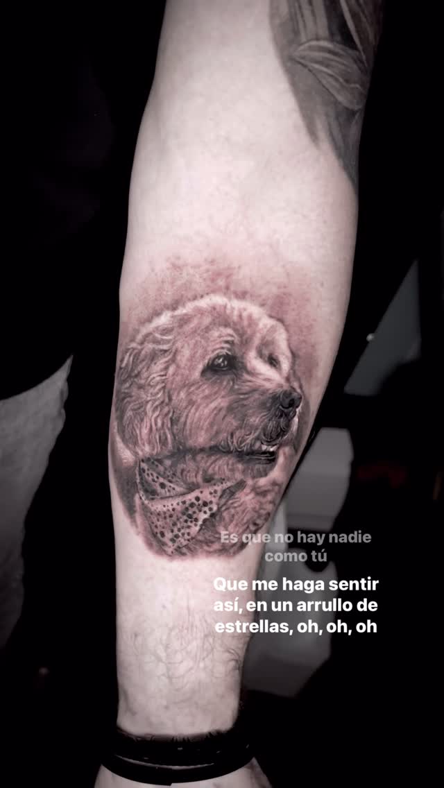 Animal
