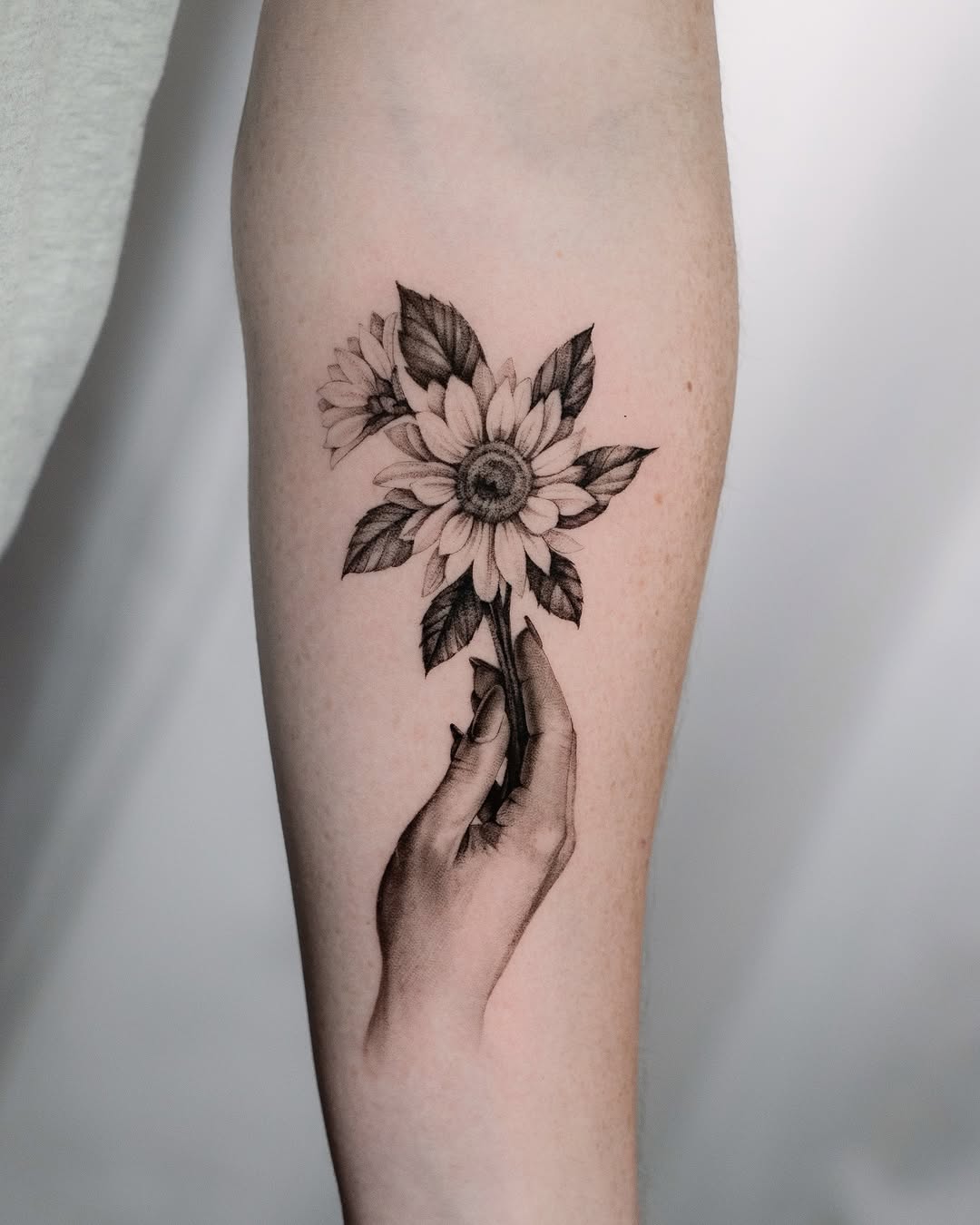 Flower, 해바라기
