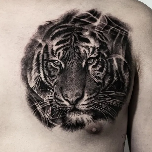 Tiger, 중국 호랑이