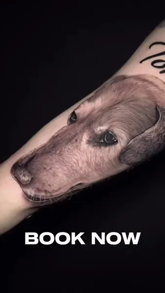 Animal