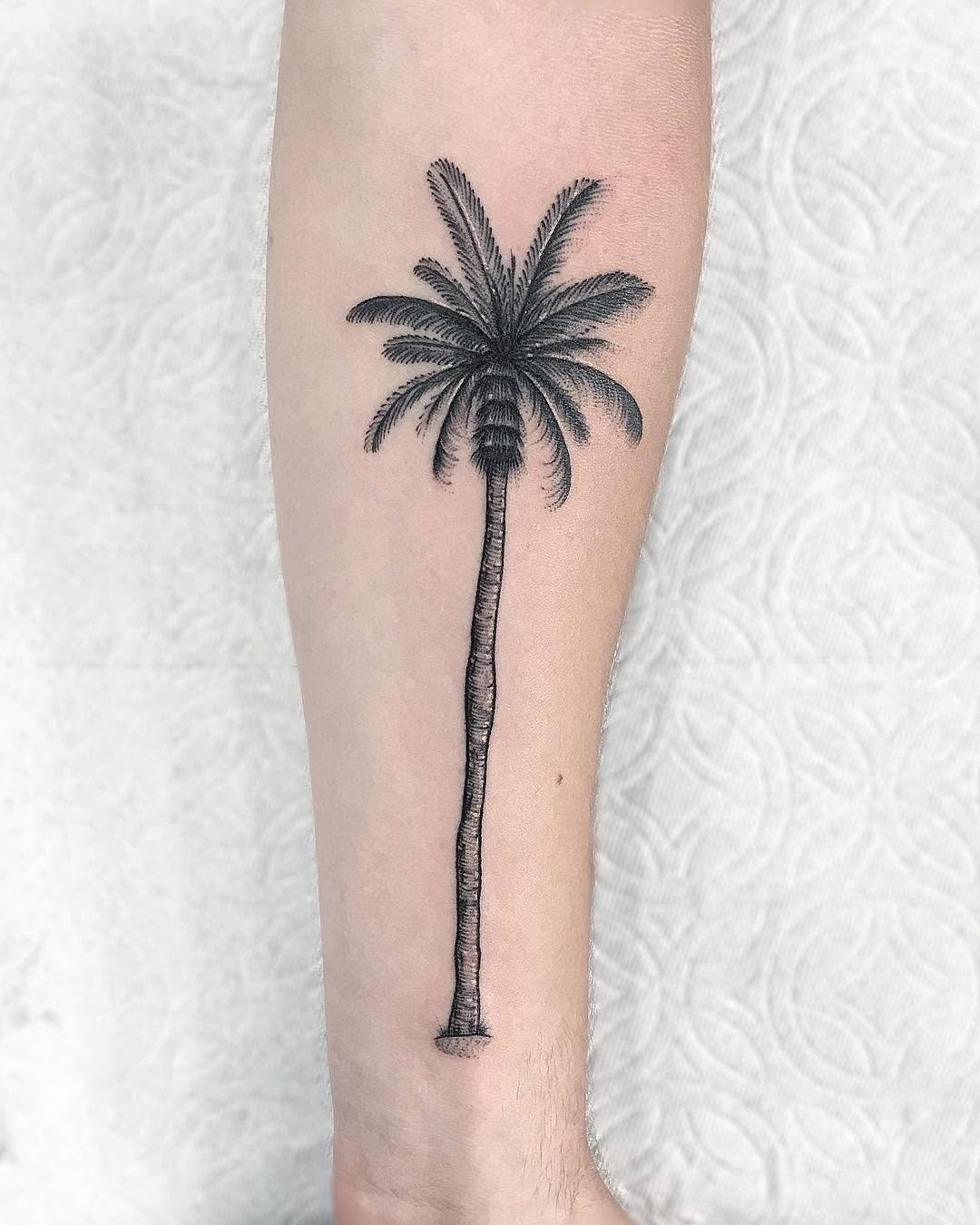 romeolacoste