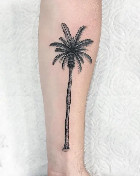 romeolacoste