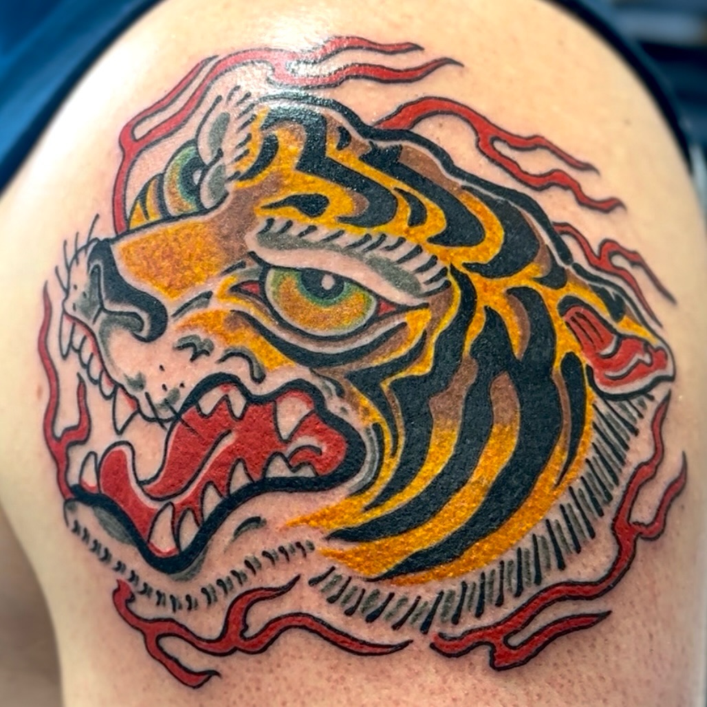 Tiger, Animal