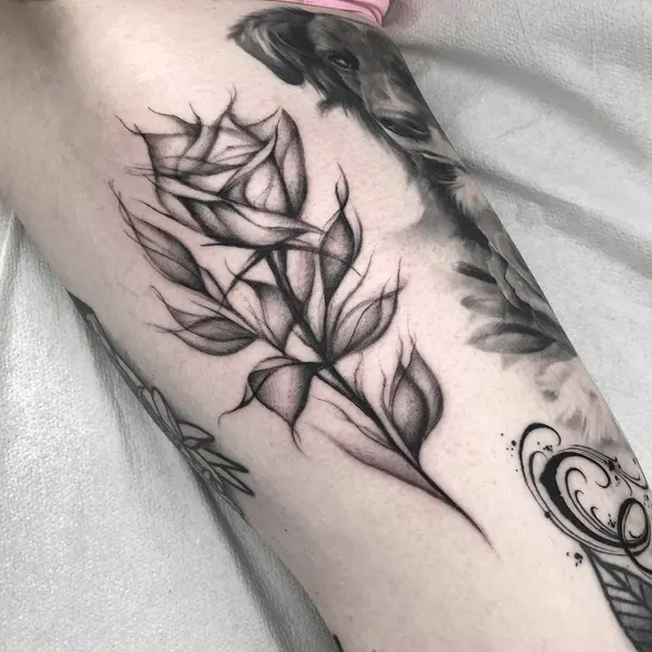Flower, Rose