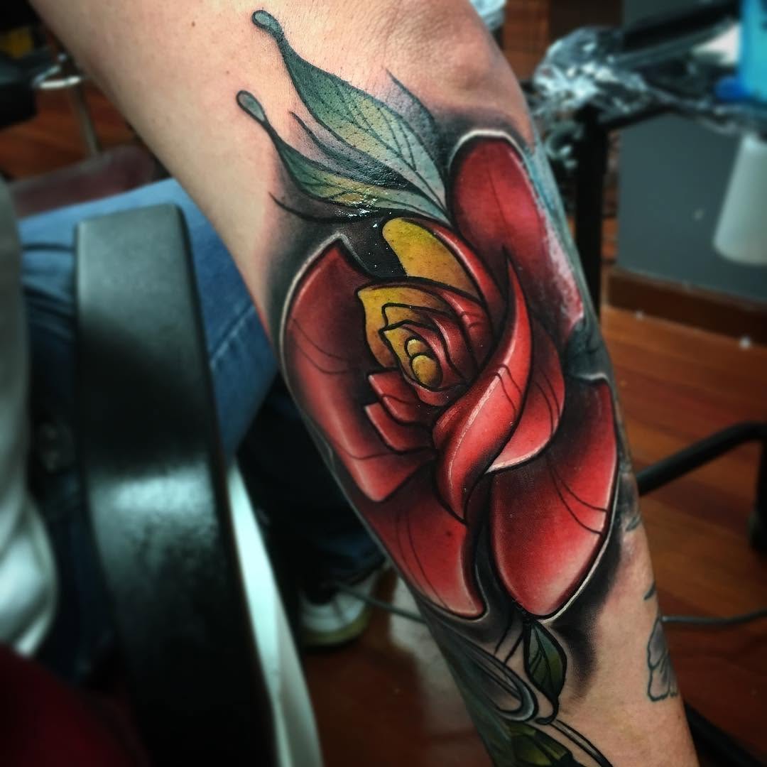Flower, Rose