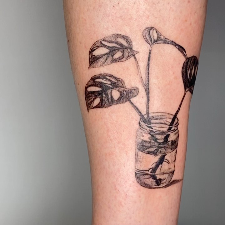 plantsnpokes