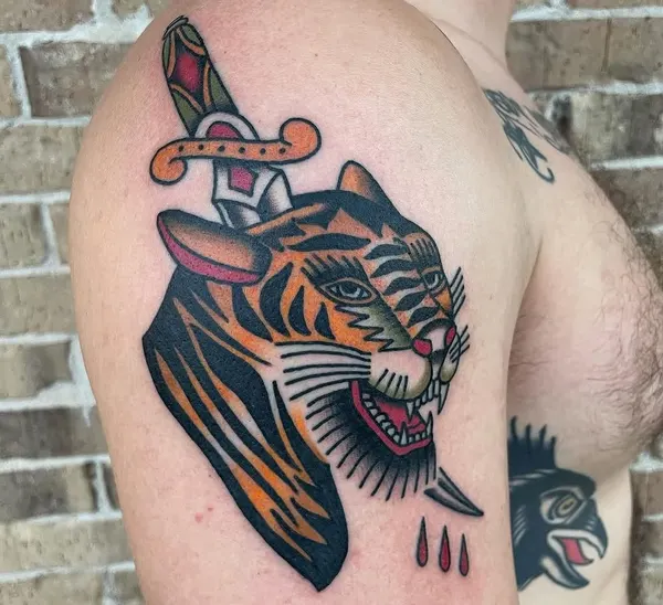 Tiger, Animal