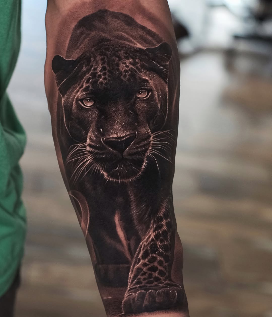 Animal