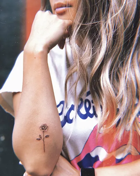 Flower, Rose
