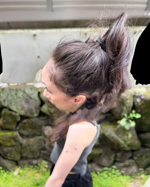 새, 제비, 일본 학, 미니멀, 한국 학