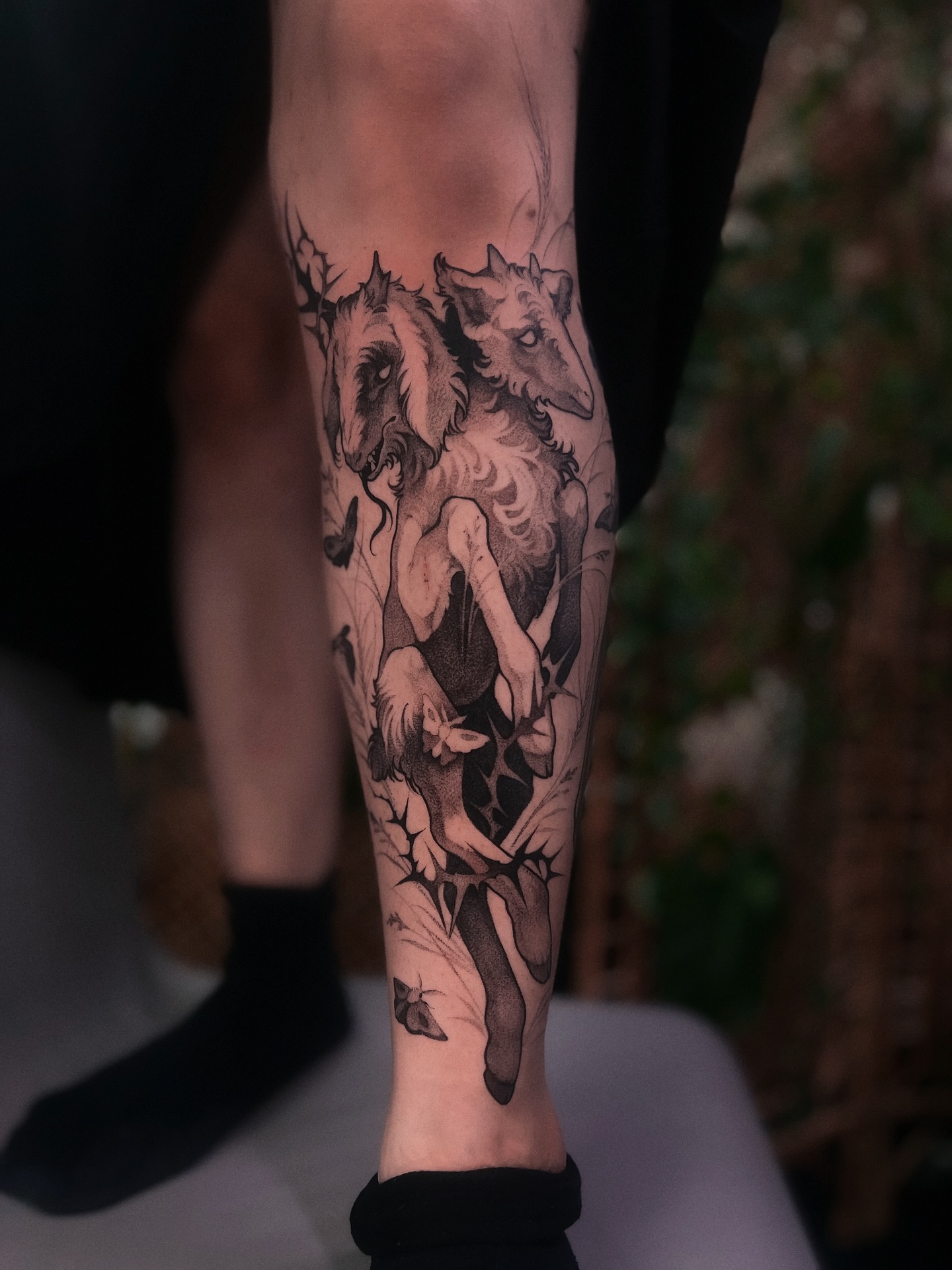 Dragon